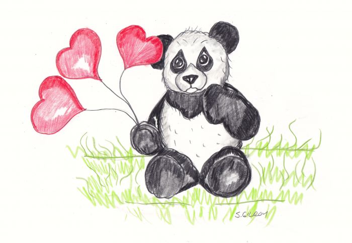 Panda Love  by Sally Gilroy